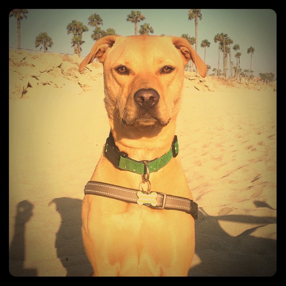 Meet your Posher, Mike